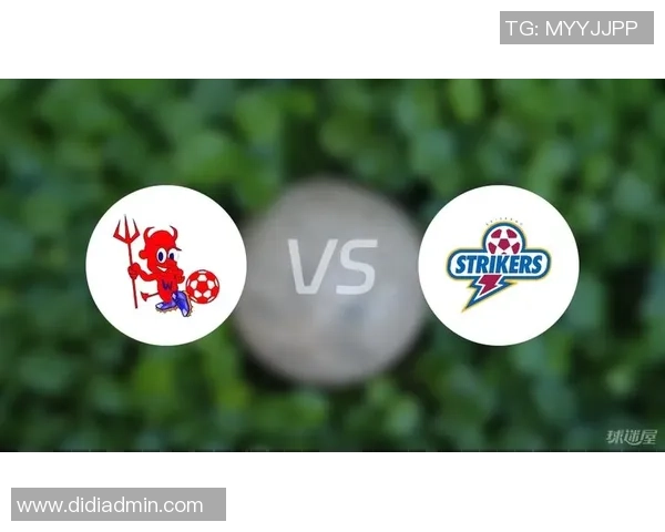 布里斯班前锋与瑞德兰茨比赛延迟原因分析及影响探讨