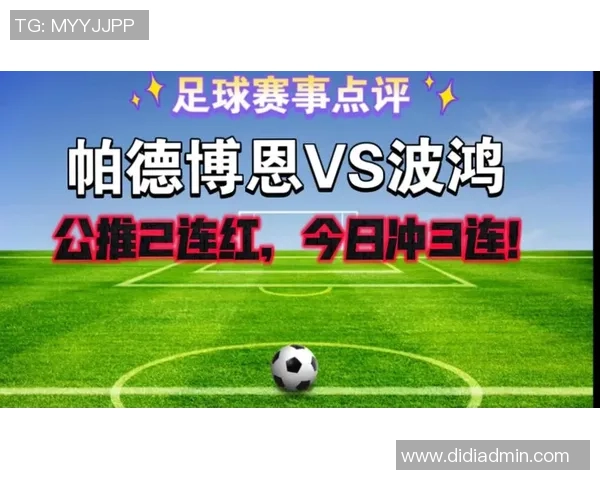竞彩005帕德博恩对阵波鸿全方位分析及赛前预测